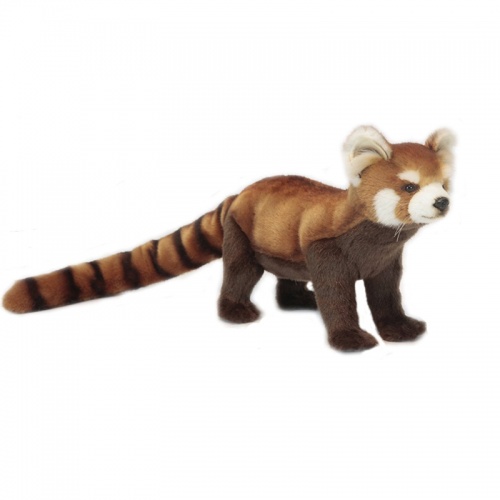 Red Panda Standing 67cm Realistic Soft Toy by Hansa